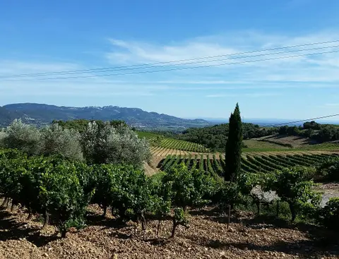 Domaine des Escaravailles