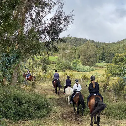 Centre Equestre "Les écuries de Mazan"