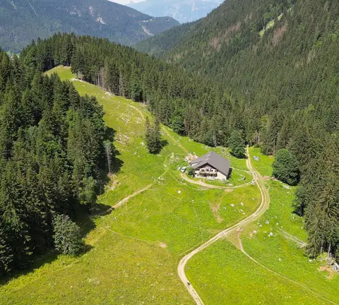 La Ferme des Cairns - Elevage Familial Faur