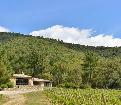 Domaine du Noyer Clos Mistinguett