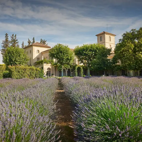 Château Gigognan - Domaine viticole