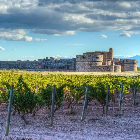 Vignoble Arnaud