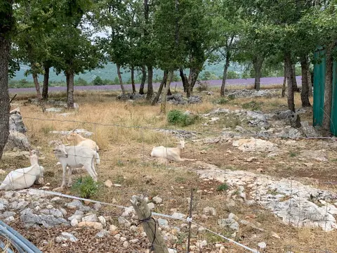 Ferme La Maguette