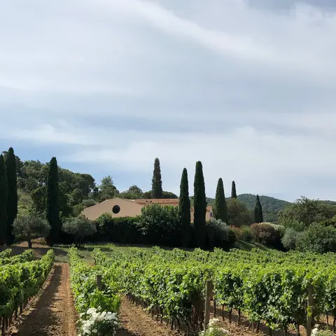 Domaine viticole du Bourrian