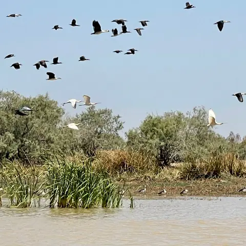 Parc des Oiseaux