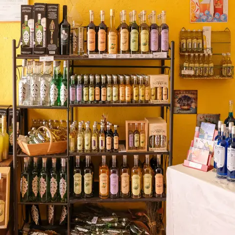 VinoSpirits Expériences - Château de Saint Martin et la Liquoristerie de Provence