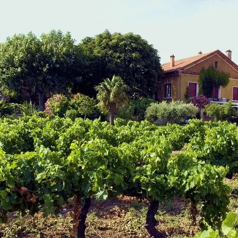 Domaine du Grand Père Jules