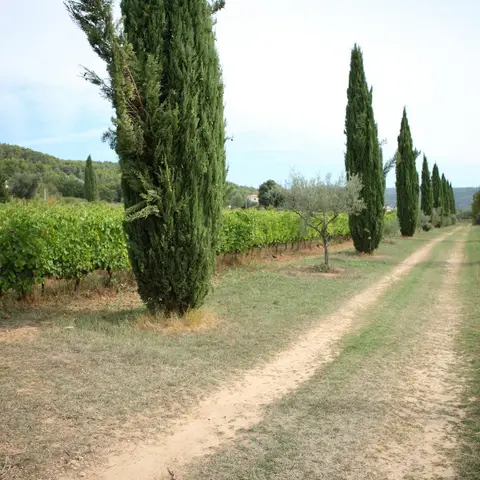 Le Barretian - Vins de Provence