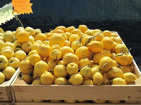 Producteur Citron de Menton IGP - Agrumiculture Mentonnaise A.L. Sepicacchi