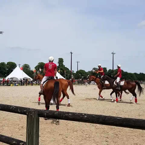 Haras d'Obtrée