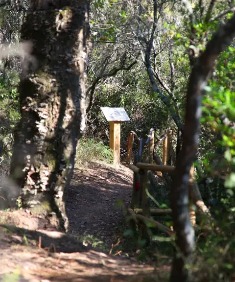 Sentier Botanique de Cogolin