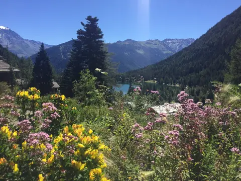 Jardin de Bio-Vezer