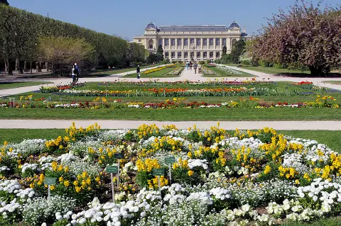 Jardin des plantes tinctoriales