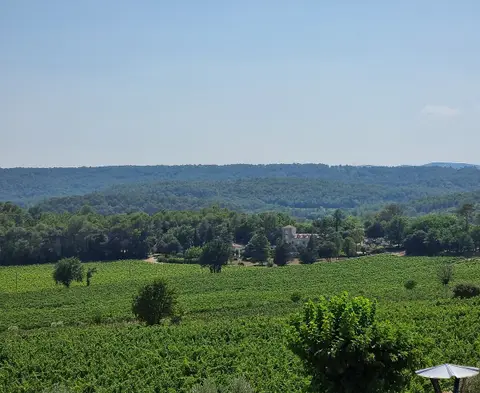 Château Roubine