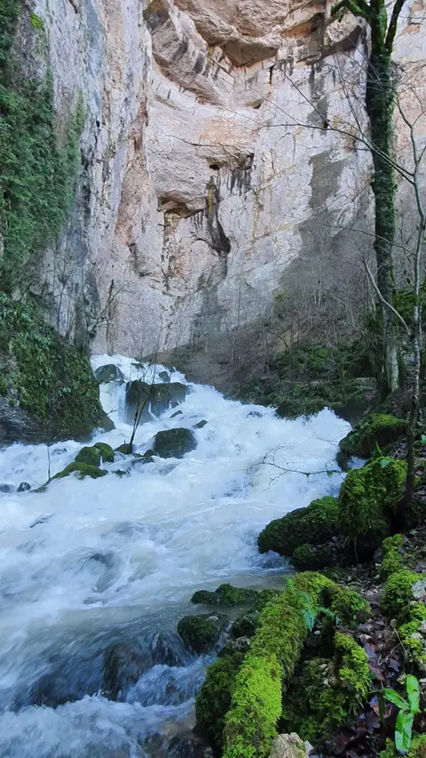 Porte Sarrasine