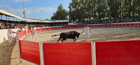 Arènes Régis Chauvet - Noves