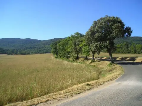 Montagne des Ubacs