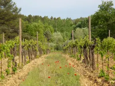 Château Revelette