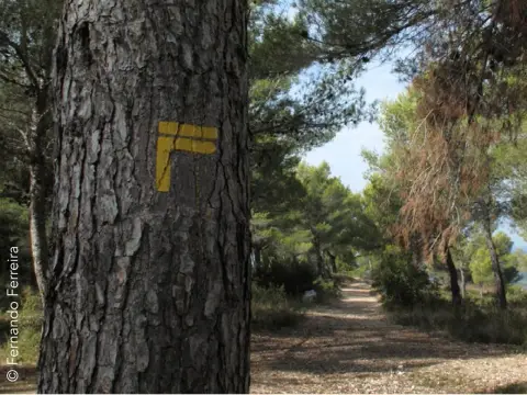 GR de Pays Sentier Provence, Mines d'Energie