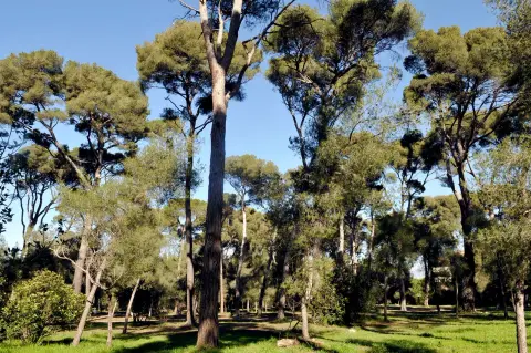 Parc de la Redonne