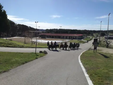 Centre Equestre Le Deven