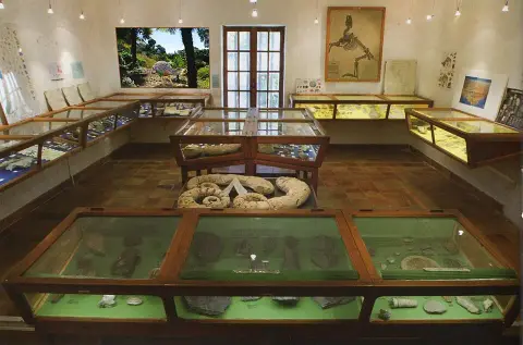 Musee municipal des fossiles Victor Zaneboni