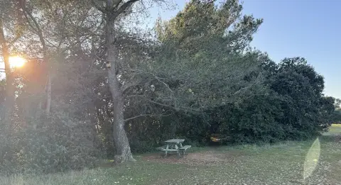 Plateau de la crau