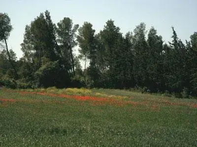 Le Rougadou