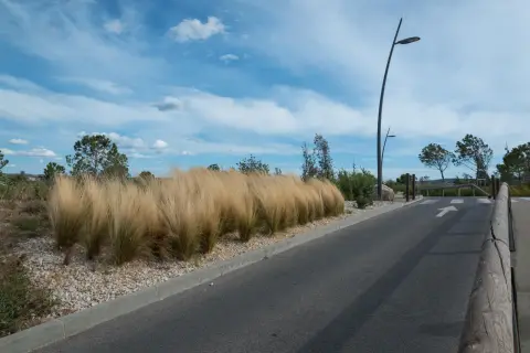 Bouches-du-Rhône en Paysages - Marignane, au fil de l'eau à vélo