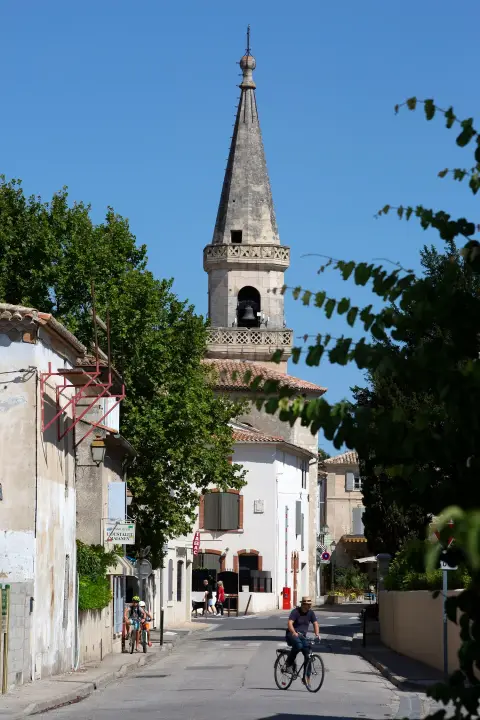 Sur les traces de Frédéric Mistral