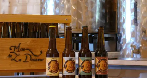 Brasserie ZenBier