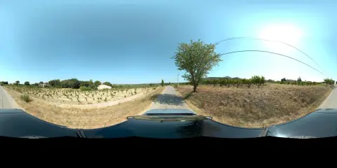 Vacqueyras