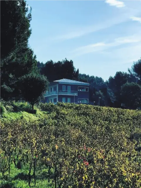 Cassis Coworking