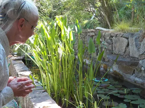Jardin remarquable L'Hardy-Denonain