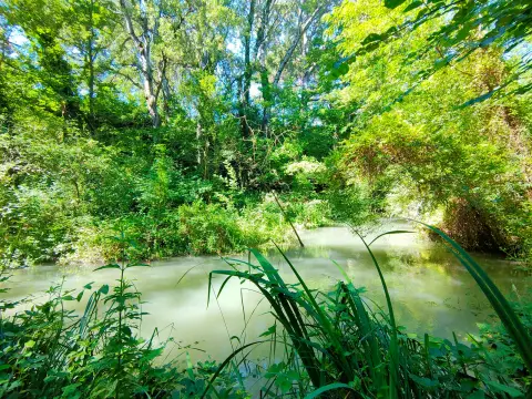 Noves au fil de l'eau