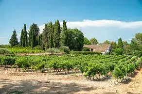 Château l'Arnaude