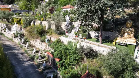 ABVF Pagode Truc Lâm