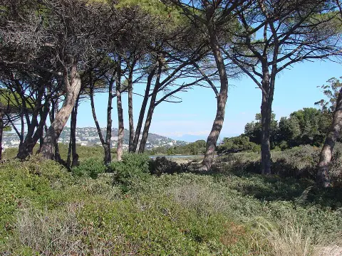 Réserve biologique dirigée de l'île Sainte-Marguerite