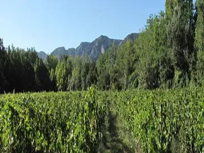 Domaine de Milan