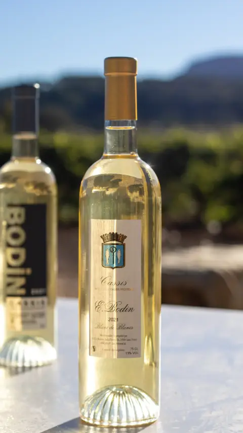 Domaine Cassis Bodin