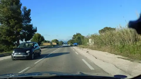 Cani-plage: zone réservée aux chiens