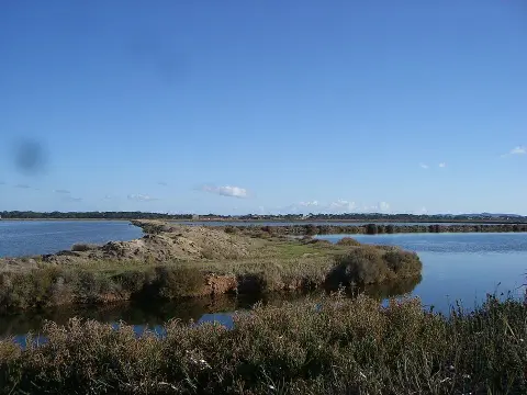 Les vieux salins
