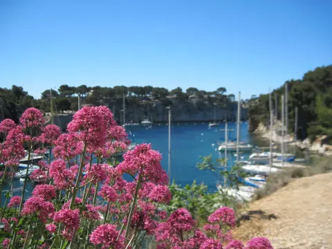 Calanques de Port-Miou