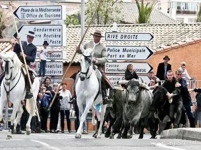 Le Mas Sainte-Anne