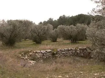 Lançon-Provence : Le sentier de Campagnole