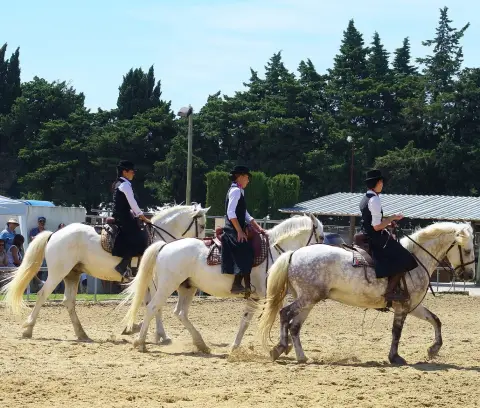 Les Ecuries du Petit Claux