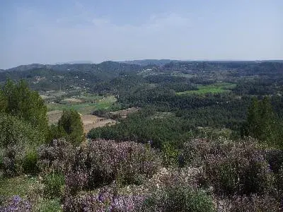Le sentier des Vignerons de Rognes