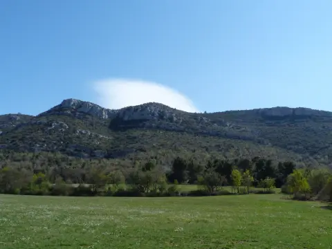 Circuit pédestre dans le Domaine Départemental de Pichauris "Les Grands Ubacs"