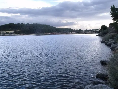 Etang de l'Olivier