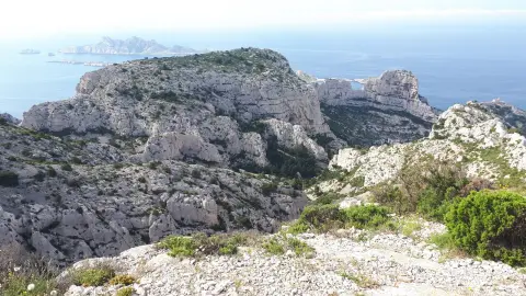 Domaine de Marseilleveyre